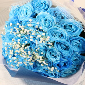 y؉ԁzԑ o }u[o ԑ uv j v|[Y j a ݑƃO[t bsOƎ舵t Ԏw\