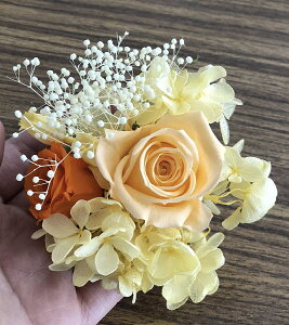 RT[W vU[uht[ u[` ̓ l Ǝ NAP[XtIW