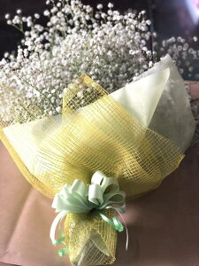 生花 かすみ草の人気商品 通販 価格比較 価格 Com