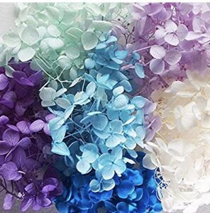 yށzyyzAWTCEwbh vU[uht[10g 6FA\[gu[ sN  W p[c Ntg  n[oEp ԍ ޗ tHgt[ A