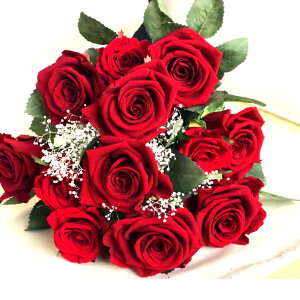 �y�v���U�[�u�h�t�����[�z�͂�Ȃ� �����ȒP �ԃo���̉ԑ� 12�{ Be mine.
