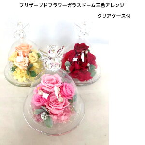 yvU[uht[zt[ꋉZ\m KXh[ GWF v~A [v[g ] o/Mtg/LO/a/ 戵Ɣt