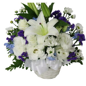 yt[AWgzAW iCX^_[hj  Mtg z  䋟 @v  l\  z STCY