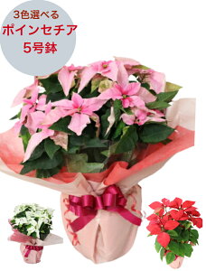 yz I|CZ`A 5 FIׂ bsOt NX}X j