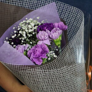 PURIZA yԉԑz̓Mtg 5{ FIюR ԃJ[l[VƃXv[J[l[V ԑ flower a  JX~t  u[P ̓v[g lC 2025N lC  40 50 