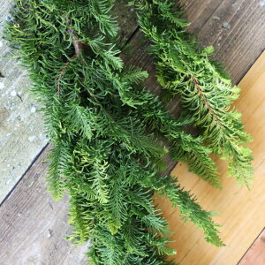 yԁzqo 100cm x 5{  y؉ԁz؉ ؂ ԍ ؂ } } H ؂̎} CeA