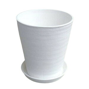 y1ZbgzZA[g 10Mt 2FIׂ@a28.5cmA32cm