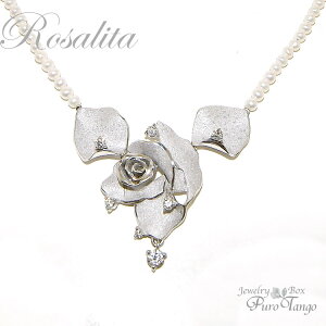 KN o lbNX ^ xr[p[ v[g NA pCoJ[ 6a