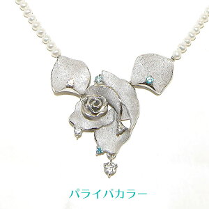 KN o lbNX ^ xr[p[ v[g NA pCoJ[ 6a