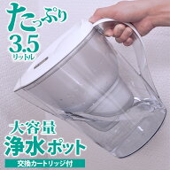 【P2倍】 浄水ポット 本体 カートリッジ1個付 互換品 大容量 全容量3.5L 浄化容量2.0L 塩素 不純物 高除…