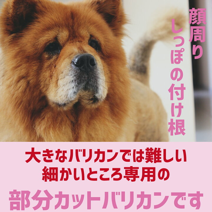 楽天市場 ペット用バリカン 部分カット専用 初心者にも簡単 Ledライト付き バリカン 犬用 猫用 足裏 肉球 耳裏 顔周り お尻周り コードレス Usb充電式 静音 小型 軽量 持ちやすい 自宅トリミング Purple7 楽天市場 ペット用バリカン 部分カット専用 初心者にも簡単 Ledライト付き バリカン 犬用 猫用 足裏 肉球 耳裏 顔周り お尻周り コードレス Usb充電式 静音 小型 軽量 持ちやすい 自宅トリミング Purple7