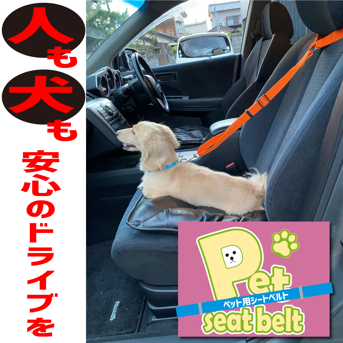 お買い得！】 犬 シートベルト ペット用 ヘッドレスト装着 リード 車用リード 犬用リード ドライブグッズ
