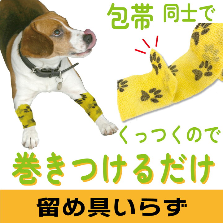 日本最大級 311 5 6セット ペット包帯 くっつく包帯 ケガ テーピング Www Anavara Com