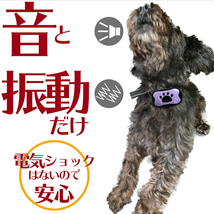 楽天市場 無駄吠え 防止 犬 しつけ 首輪 充電式 振動 ビープ音 7段階 小型犬 中型犬 大型犬 躾 吠える防止 犬鳴き声対策 自動訓練 ペットグッズ Purple7 楽天市場 無駄吠え 防止 犬 しつけ 首輪 充電式 振動 ビープ音 7段階 小型犬 中型犬 大型犬 躾 吠える防止 犬鳴き声対策 自動訓練 ペットグッズ Purple7