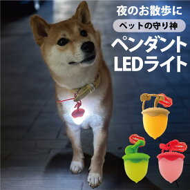 【P2倍】 光るどんぐり 犬用 LEDライト USB充電式 散歩 光る ペンダントライト 犬 猫 夜間 安全 セーフティーライト 首輪 リード ハーネス かわいい 小型犬 中型犬 大型犬 事故防止 サイズ調節可 軽い ペット用品
