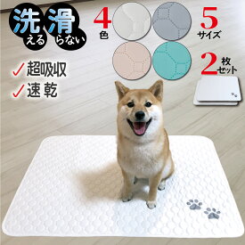 【P2倍!】 洗える ペットシーツ 2枚セット ペットマット おしっこマット 猫 犬 おしっこパッド トイレシート 防水 滑り止め 漏れ防止 速乾 超吸収 下敷き ペット用 介護用 多頭飼い