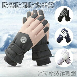 y撅60F200~OffN[|zXL[ O[u fB[X YXm[O[u X}zΉ XL[ Xm[{[h Xm{ O[u  ] oCN g ~ oCN oR ނ X|[c
