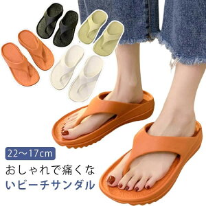 y撅60F200~OffN[|z O i ₷ r[T s C ɂȂC r[`T_ T_ YC