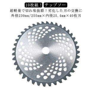 yX[p[SALE撅10F600~OffN[|z10 ւn n Zbg 255mm `bv\[ 25cm @ n 40n  Օi p 23cm y d@ ֐n 230mm `bv d @ p[
