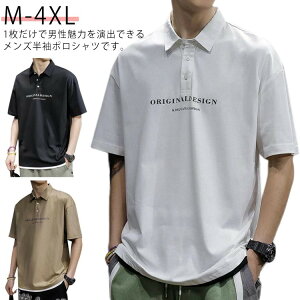 y撅60F200~OffN[|z|Vc ݕtVc TVc p  S 40 StVc POLOVc vg   StEFA JWA 傫TCY _炩 