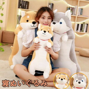 Qʂ S2 60cm 80cm 100cm     Ck ʂ   킢 rbO v[g  q xbh G j  NX}X a