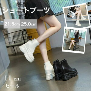 Xj[J[ fB[X 11cmAbv Cq[ EFbWu[c [XAbv Wbp[ gAbv ~ JWA V[Y r  wȂ