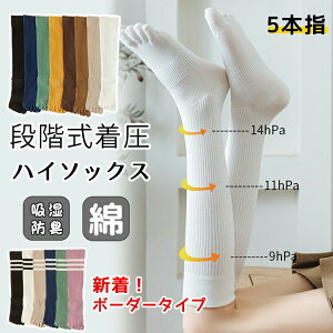 y撅60F200~OffN[|z\bNX 5{w VFCv\bNX nC\bNX C fB[X Y t  H~  g ₦Ƃ d˗ hL X|[c n {[_[  j