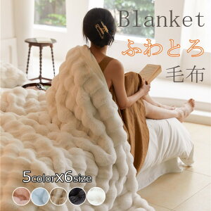 【早い者勝ち★先着30名:1000円Offクーポン】毛布 とろとろ ふわとろ毛布 もこもこ毛布 2枚合わせ 両面ボア ブランケット ふわふわ ハーフ シングル セミダブル ダブル クッションカバー 掛