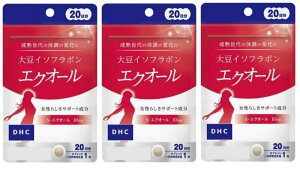 DHC(fB[EGC`EV[) 20哤C\t{GNI[@20×3Zbg 60