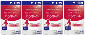 DHC 20 哤C\t{ GNI[ 20 4܃Zbg