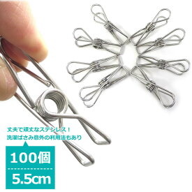 ステンレス製 洗濯バサミ 100個セット 5.5cm ピンチ クリップ 大容量 業務用 収納用品 物干し ズボン スカート タオル かわいい おしゃれ DIY 便利 頑丈 丈夫 金属 強力 ハンガー KUENTAI 新生活 引っ越し 送料無料