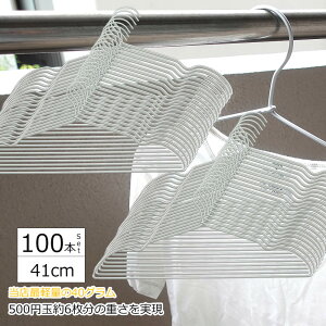 yʃA~nK[ 41cm 30{ 50{ 100{ Zbg ׂȂ ߗ  XeX [ XJ[g Ȃ Y{p  V z  CeA 40cm 42cm KтȂ y ̓ ߗ