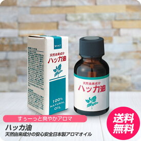 【新生活セール 全商品対象クーポン配布中】 (送料無料) 天然由来成分 ハッカ油 20mL 【薄荷 虫除け メントール オイル 原液 入浴 爽快 希釈用】