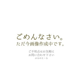【6/4 20時より超セール 販売期間前】 ナプラ HBスプリュース コスメ 1000