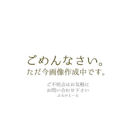 【新生活セール 全商品対象クーポン配布中】 ロレアル イクア トナー 60g モノトーン 10