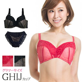 ブラジャー ショーツ セット 大きいサイズ クレール( G75 G80 G85 H75 H80 H85 I85 I90 Gカップ Hカップ Iカップ ピンク ブラック レディース インナー 上下 下着 大きなサイズ ブラショーツ ブラ セットアップ )