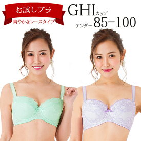 大きいサイズ お試し ブラジャー [爽やかレースタイプ]( G85 G90 G95 G100 H85 H90 H95 Gカップ Hカップ ミントグリーン パープル 大きなサイズ ブラ 寄せ 上げ かわいい レース ブラ ブラ単品 送料無料 )