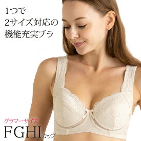 通気性抜群 2サイズ対応ブラ単品 大きいサイズ ブラジャー シャルモント( 着痩せ 育乳 脇肉すっきり 育乳ブラ 小さく見せる Fカップ Gカップ Hカップ Iカップ 大きなサイズ ピンク ブラック 黒 揺れない 小さく見せる 脇高 脇だか セクシー )