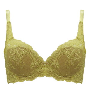 �t���J�b�v �u���W���[ �P�i ���i���L�����X( B65 B70 B75 C65 C70 C75 D65 D70 D75 D80 E65 E70 E75 E80 F65 F70 F75 F80 B�J�b�v C�J�b�v D�J�b�v E�J�b�v F�J�b�v �}�X�^�[�h �^�[�R�C�Y �p�[�v�� �� �グ ����