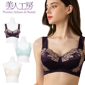 ＜ 美人工房 ＞ プレシャスメイク ノンワイヤーブラジャー 単品 ( S M L LL 3L シャンパンダイヤ プラム サックス パープル ブルー ベージュ 補正 姿勢 矯正 引締め 着痩せ 補正下着 背中 すっきり ブラ 産後 女性用 ボディメイク ツ ファッション 着心地重視 )