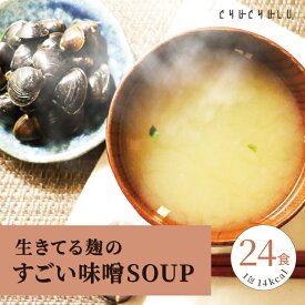 すごい miso soup 味噌汁 24食セット 120g(5g×24食) しじみ1000個分のオルニチン 90種の植物発酵エキス ポリアミン ス−プダイエット食品 ダイエット食品 ダイエット スープ みそ汁 味噌汁 フリーズドライ