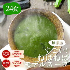 【まとめ買い　福袋】無添加 すごいねばねばモデルスープ 24食 ダイエットスープ　ダイエット　腸活　ネバネバ　食物繊維　満腹ダイエット　健康食品 水溶性食物繊維　菌を増やす　酪酸菌　乳酸菌　福袋