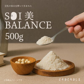SOY美BALANCE 生きた酪酸菌と発酵性食物繊維たっぷりのたんぱく質パウダー 500g　発酵性食物繊維　ソイプロテイン　おからパウダー　美容　植物性たんぱく質　腸活　美肌　豆乳　たんぱく質 パウダー　大豆　無添加