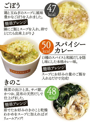 【おからソイミート】ヘルシースタイル雑炊6種類18食セットおからパウダー（和風生姜／海鮮シーフード／うま辛いチゲ／スパイシーカレー／ごぼう／きのこ）ダイエット食品置き換えダイエット満腹感ダイエット雑炊糖質制限低糖質プロテインタンパク質