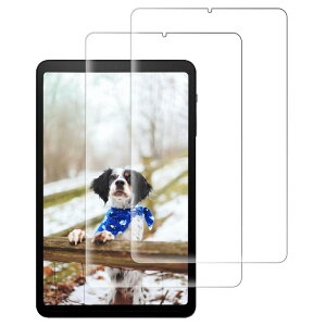 RuiMi �X�N���[���v���e�N�^�[ �Ή��@��: ALLDOCUBE iPlay50 mini/iPlay50 mini Pro/Headwolf Fpad3 8.4�C���` 2������ 9H-10H �d�x �K���X�f�� 99%�ȏ�̓��ߗ� �ȒP�ȓ\��t�� �Ϗ�