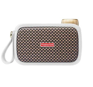 Positive Grid Spark GO