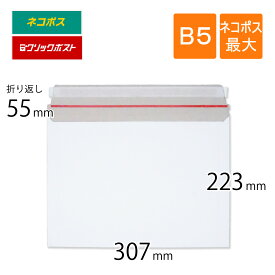 厚紙封筒 ネコポス最大 B5 307×223mm