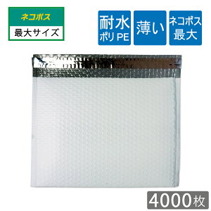 ϐ| NbV lR|X ő B5  287×223mm \ʗՂ (It)