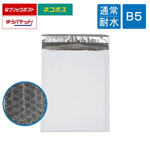 ϐ| NbV B5 p3 DVDd˂2TCY 215×280mm iItj Ȃ