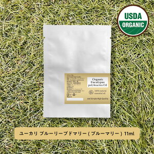 y2_wŃx_[z &SH A} GbZVIC (  ) 100%sA I[KjbNF [J u[[uh}[ ( u[}[ )IC 11ml A}IC tB lߑւ